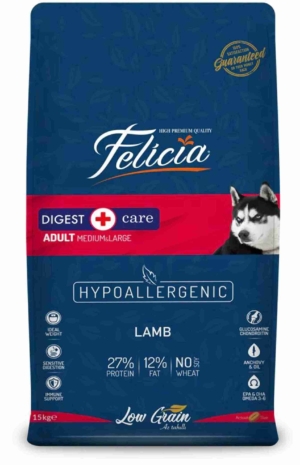 Felicia Adult Dog - Lamb